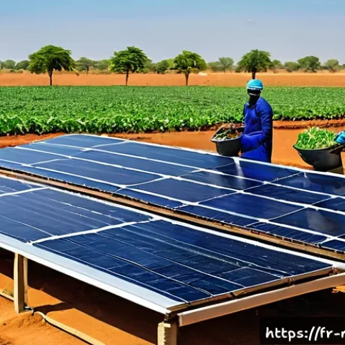 Home 32 말리에서 사업하기 - A vibrant Malian entrepreneur’s modern agro-processing facility in a rural setting, showcasing mecha...